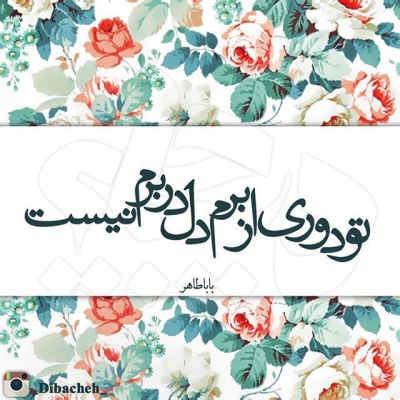 دل شیدا