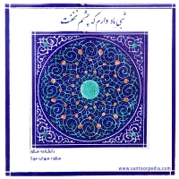 شبی یاد و دارم که چشمم نخفت